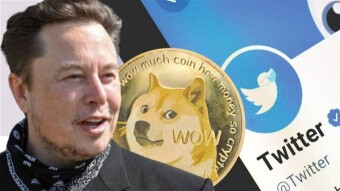 Doge price skyrockets with Elon Musk