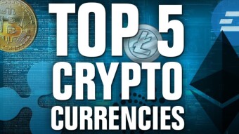 Top 5 Coins By Market Cap: A Characterization