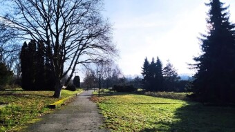 Tuesday was a great success, the pleasant autumn weather continues - My Actifit Report Card: December 16, 2025