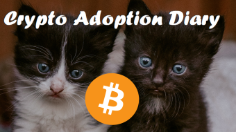 Texas New Law Makes Crypto "A Thing" ⚖