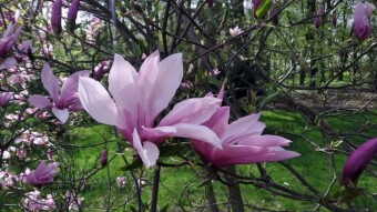 Continuation of the beautiful spring weather - Actifit Report Card: April 20