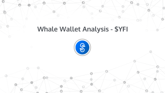 Whale Wallet Analysis - YFI