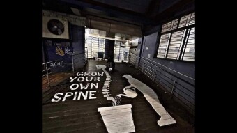 Grow Your Ethical SPINE