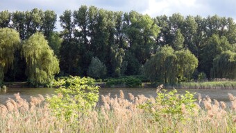 Today a bicycle loop in the Silesian Park and a bit of a walk - My Actifit Report Card: June 2 2023
