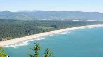 Wonderful View Of The Ocean!