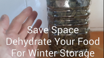 Dehydrating - A Great Way To Store Food For Winter