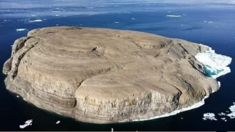 That Damn Drunk Shark and A Dangerous Island