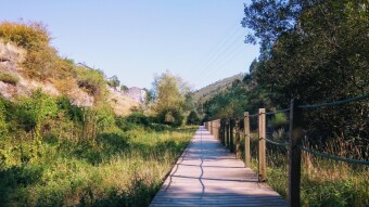 Trip to Portugal - Couce #1