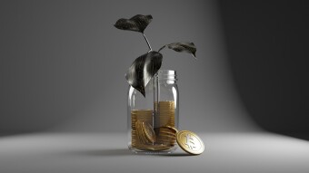 Crypto Could Finance My Festival Expenses