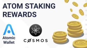 What's Cosmos? cosmos price history and where we should store cosmos??