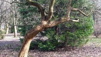 Another beautiful winter-spring day - My Actifit Report Card: February 24 2024