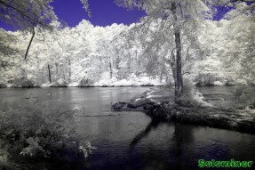 Ultraviolet and Infrared Photography - Streams along Sweetwater Creek
