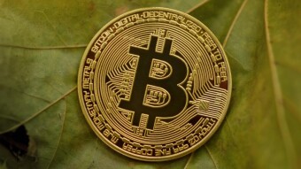 Crypto Market Update: Horribly Down Coins