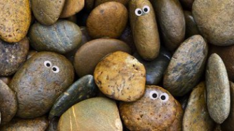 The NFT collection that will never disappoint - Googly Eyes Rock Club (GERC)
