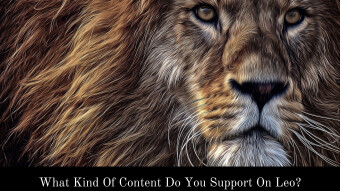 What Kind Of Content Do You Support On Leo?