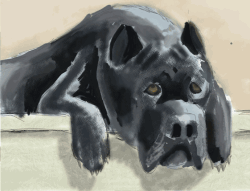 My artwork - Cane Corso.