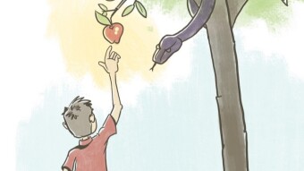 Low-hanging fruit - quick review of Cointiply and other earning platforms