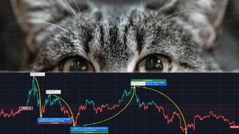 Stablecoin Supply Ratio vs BTC is at the 5-month low
