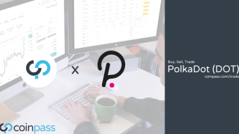 What is Polkadot DOT?