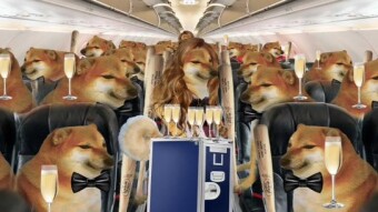 ENTER THE BONKVERSE