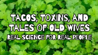 Tacos, Toxins and Tales of Old Wives