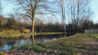 Winter in autumn, spring in winter - a bit crazy, but positive - My Actifit Report Card: December 27 2023