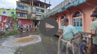 Fishing excitement in the 2024 floods.