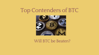 BTC has ruled the world by being the top currency as per market cap. Lets find out its contenders.