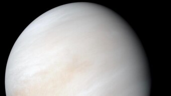 Life on Venus