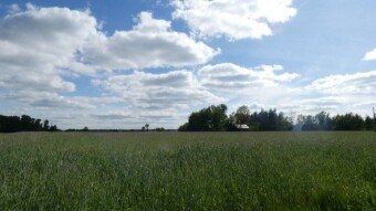 Today, a quiet walk in a mixed aura, some sun and rain - My Actifit Report Card: July 24 2024