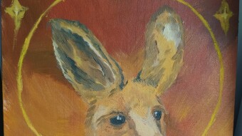 Mr.Roo