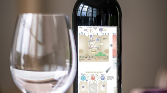A Glass (or two) of wine every day may prepare you to overcome COVID19.