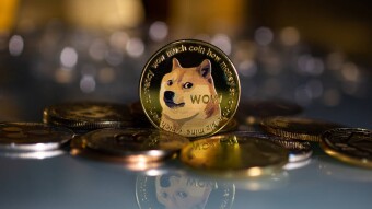 Over $176M of DOGE Moved by Whales Within 24 Hours