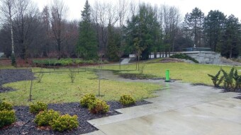 Warm, warm and warmer - you can feel spring in the air - My Actifit Report Card: February 9 2024
