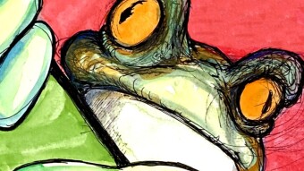 A Treefrog
