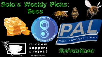 Solo's weekly picks: Bees
