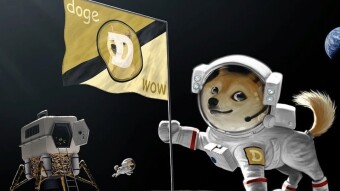 From dust thou art, to the moon thou art: Dogecoin!