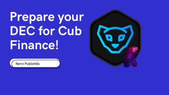 Prepare your DEC for Cub Finance