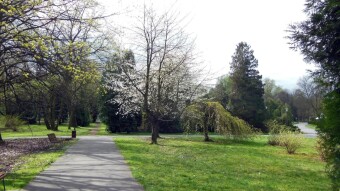 A warm spring and dynamic day spent mainly in motion - My Actifit Report Card: April  2024