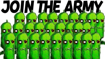 Have You Seen My Zickle Army ?