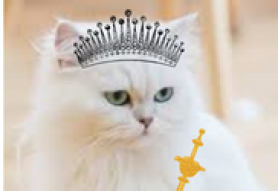 Meet The Queen Of Persia! It Is Her Majesty The Persian Cat