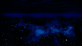 Head Above Water