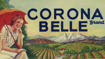 A Corona Orange
