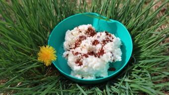 #BIWAKKITCHEN03 - Milk-rice