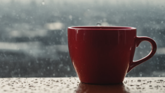 A day on a mindfulness journey.