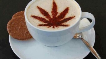 Nutritional benefits of hemp seeds Part 5/5