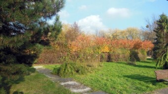 Let this October not end - it is wonderful - My Actifit Report Card: October 27 2022
