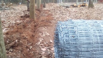 Apocalyptic Homesteading (Day 28-29)