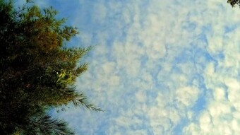 Natural photography