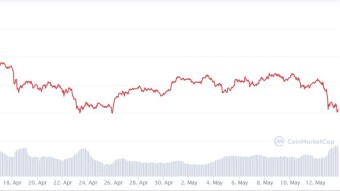 Did Elon Musk Really Crash Bitcoin?